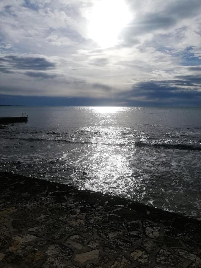 Apartment Jana Novigrad Istria Esterno foto