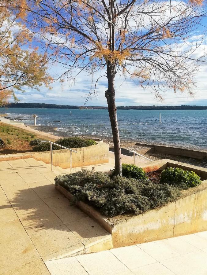 Apartment Jana Novigrad Istria Esterno foto